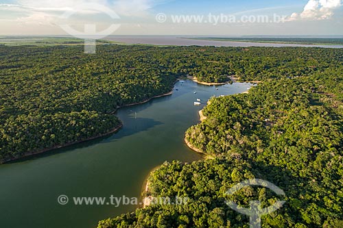  Aerial photo of the Arapiuns River with the Amazonas River in the background  - Santarem city - Para state (PA) - Brazil