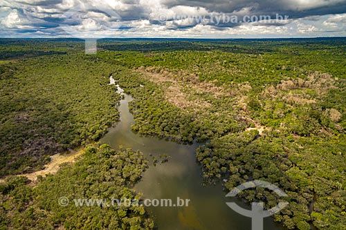  Aerial photo of the Igarape Jamaraqua - Tapajos National Forest  - Belterra city - Para state (PA) - Brazil