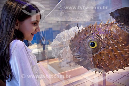  Girl observing stuffed fish on exhibit - National Museum - old Sao Cristovao Palace  - Rio de Janeiro city - Rio de Janeiro state (RJ) - Brazil
