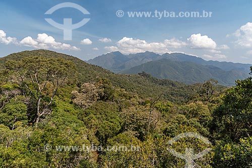 General view typical vegetation of atlantic rainforest - Itatiaia National Park  - Itatiaia city - Rio de Janeiro state (RJ) - Brazil