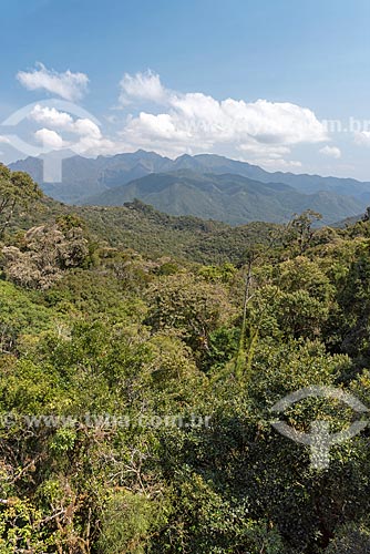  General view typical vegetation of atlantic rainforest - Itatiaia National Park  - Itatiaia city - Rio de Janeiro state (RJ) - Brazil