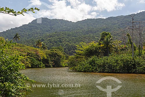  View of typical vegetation of Atlantic Rainforest and river near to Dois Rios Beach  - Angra dos Reis city - Rio de Janeiro state (RJ) - Brazil