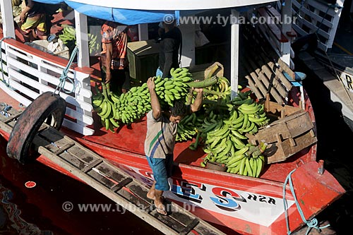  Man carrying bananas bunch on the head - Manaus Moderna Port  - Manaus city - Amazonas state (AM) - Brazil