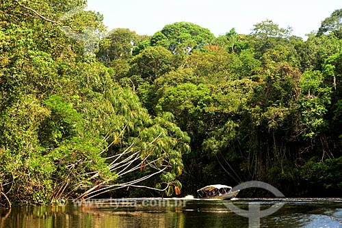  Voadeira - regional boat - Igarape Abuara  - Santa Isabel do Rio Negro city - Amazonas state (AM) - Brazil
