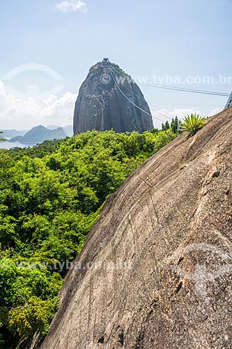  View of Sugarloaf during the climbing to the Urca Mountain  - Rio de Janeiro city - Rio de Janeiro state (RJ) - Brazil