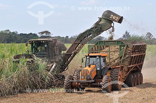 Sugarcane mechanized harvesting  - Frutal city - Minas Gerais state (MG) - Brazil