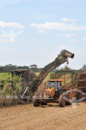  Sugarcane mechanized harvesting  - Frutal city - Minas Gerais state (MG) - Brazil