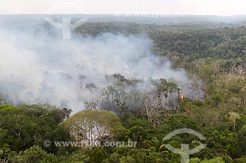  Aerial photo of the burned - Amazon Rainforest  - Manaus city - Amazonas state (AM) - Brazil