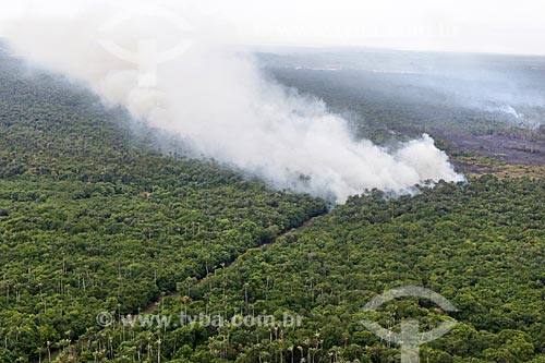  Aerial photo of the burned - Amazon Rainforest  - Manaus city - Amazonas state (AM) - Brazil