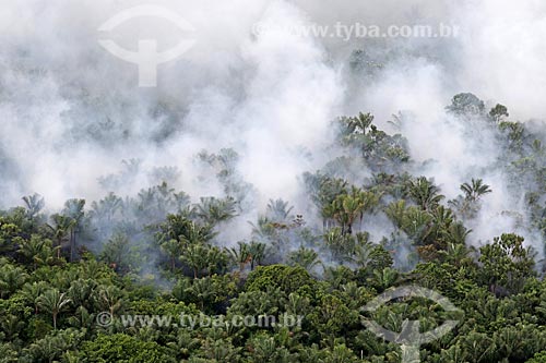  Aerial photo of the burned - Amazon Rainforest  - Manaus city - Amazonas state (AM) - Brazil