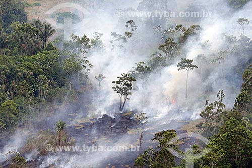  Aerial photo of the burned - Amazon Rainforest  - Manaus city - Amazonas state (AM) - Brazil