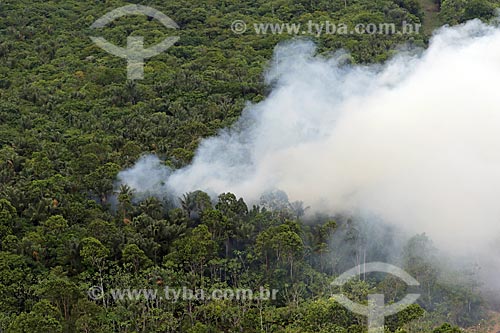  Aerial photo of the burned - Amazon Rainforest  - Manaus city - Amazonas state (AM) - Brazil