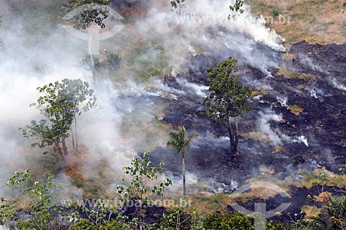  Aerial photo of the burned - Amazon Rainforest  - Manaus city - Amazonas state (AM) - Brazil