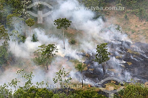  Aerial photo of the burned - Amazon Rainforest  - Manaus city - Amazonas state (AM) - Brazil