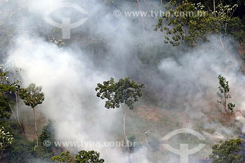  Aerial photo of the burned - Amazon Rainforest  - Manaus city - Amazonas state (AM) - Brazil