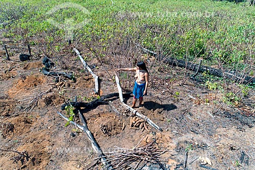  Picture taken with drone of the indigenous woman of Aiha village of the Kalapalo tribe harvesting cassava - INCREASE OF 100% OF THE VALUE OF TABLE  - Querencia city - Mato Grosso state (MT) - Brazil