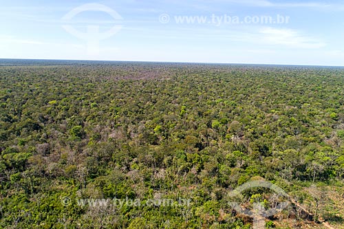  Picture taken with drone of the typical vegetation of cerrado - Parque Indígena do Xingu  - Querencia city - Mato Grosso state (MT) - Brazil
