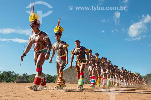  Beija-flor dance (Hummingbird dance) - Aiha village of the Kalapalo tribe - INCREASE OF 100% OF THE VALUE OF TABLE  - Querencia city - Mato Grosso state (MT) - Brazil