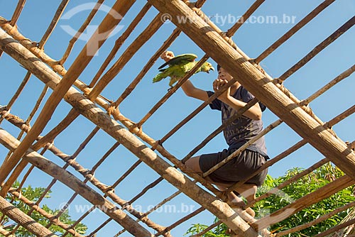  Indigenous boy playing with parrot during work - cover of the hut with thatch - Aiha village of the Kalapalo tribe - INCREASE OF 100% OF THE VALUE OF TABLE  - Querencia city - Mato Grosso state (MT) - Brazil
