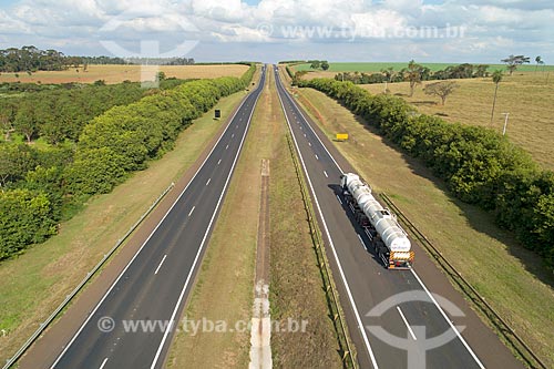  Picture taken with drone of the trees bordering the Brigadeiro Faria Lima Highway (SP-326)  - Jaboticabal city - Sao Paulo state (SP) - Brazil