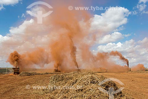  Grass seed mechanized harvesting  - Uberlandia city - Minas Gerais state (MG) - Brazil