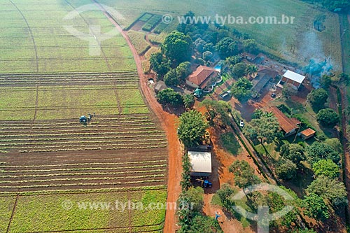  Picture taken with drone of the bean mechanized harvesting  - Guaira city - Sao Paulo state (SP) - Brazil