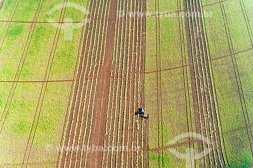  Picture taken with drone of the bean mechanized harvesting  - Guaira city - Sao Paulo state (SP) - Brazil