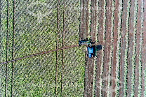  Picture taken with drone of the bean mechanized harvesting  - Guaira city - Sao Paulo state (SP) - Brazil