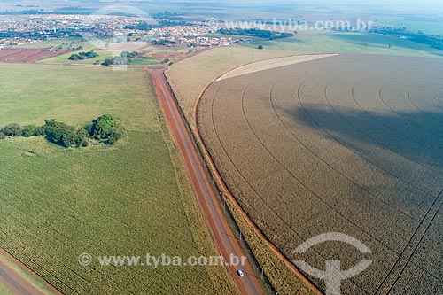  Picture taken with drone of the canavial - to the left - with corn plantation irrigated with central pivot  - Guaira city - Sao Paulo state (SP) - Brazil