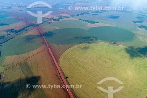  Picture taken with drone of plantations irrigated with central pivot  - Guaira city - Sao Paulo state (SP) - Brazil