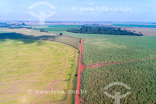  Picture taken with drone of the bean plantation with canavial to the right  - Guaira city - Sao Paulo state (SP) - Brazil