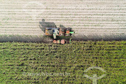  Picture taken with drone of the sugarcane mechanized harvesting  - Jaboticabal city - Sao Paulo state (SP) - Brazil