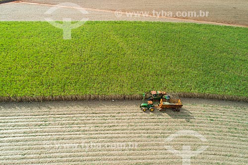  Picture taken with drone of the sugarcane mechanized harvesting  - Jaboticabal city - Sao Paulo state (SP) - Brazil