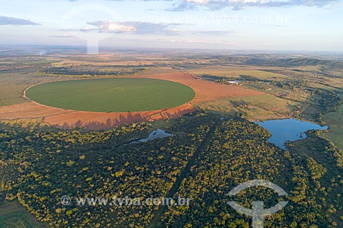  Picture taken with drone of corn plantation irrigated with central pivot  - Hidrolandia city - Goias state (GO) - Brazil