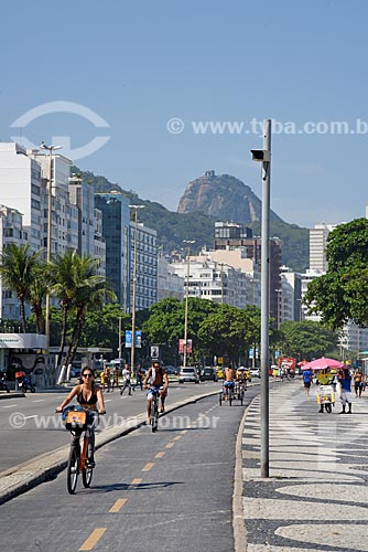  Electronic Radar for speed control - Atlantica Avenue near to bike lane with the Sugarloaf in the background  - Rio de Janeiro city - Rio de Janeiro state (RJ) - Brazil
