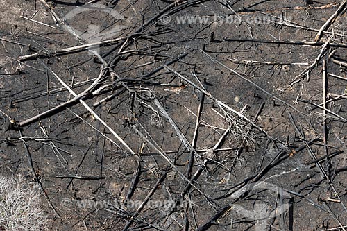  Aerial photo of the burned - typical vegetation of amazon near to Manacapuru city  - Manacapuru city - Amazonas state (AM) - Brazil