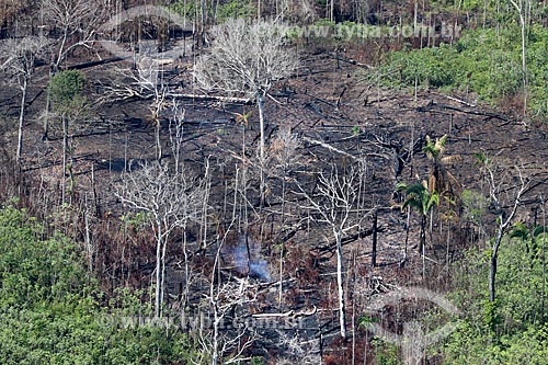  Aerial photo of the burned - typical vegetation of amazon near to Manacapuru city  - Manacapuru city - Amazonas state (AM) - Brazil