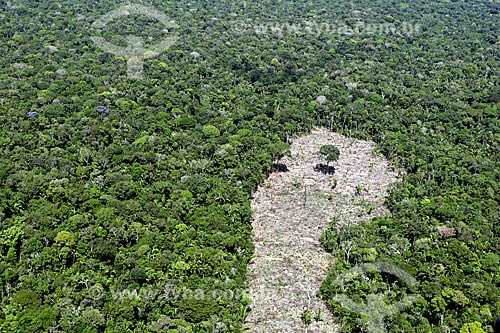  Aerial photo of the deforested area - typical vegetation of amazon near to Manacapuru city  - Manacapuru city - Amazonas state (AM) - Brazil