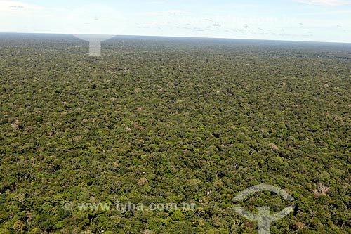  Amazon Rainforest  - Amazonas state (AM) - Brazil