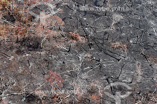  Aerial photo of the burned - typical vegetation of amazon near to Manacapuru city  - Manacapuru city - Amazonas state (AM) - Brazil