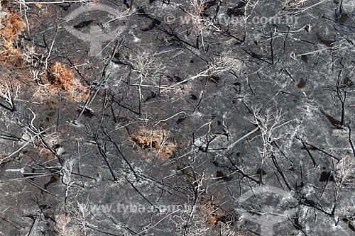  Aerial photo of the burned - typical vegetation of amazon near to Manacapuru city  - Manacapuru city - Amazonas state (AM) - Brazil