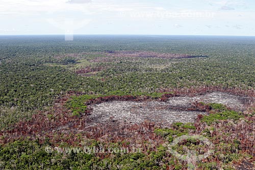  Aerial photo of the burned - typical vegetation of amazon near to Manacapuru city  - Manacapuru city - Amazonas state (AM) - Brazil