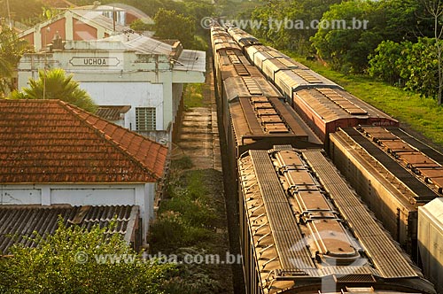  Detail of freight train of the old America Latina Logistics S.A. (also known as ALL)- current Rumo S.A. during the sunset  - Uchoa city - Sao Paulo state (SP) - Brazil