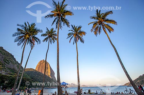  View of the Vermelha Beach (Red Beach) waterfront with the Sugarloaf in the background  - Rio de Janeiro city - Rio de Janeiro state (RJ) - Brazil