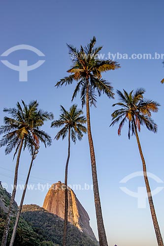  View of the Sugarloaf from the Vermelha Beach (Red Beach) waterfront  - Rio de Janeiro city - Rio de Janeiro state (RJ) - Brazil