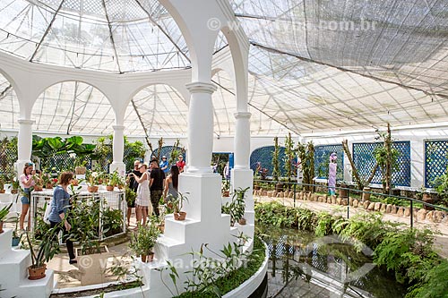  Inside of orchid nursery of the Botanical Garden of Rio de Janeiro  - Rio de Janeiro city - Rio de Janeiro state (RJ) - Brazil