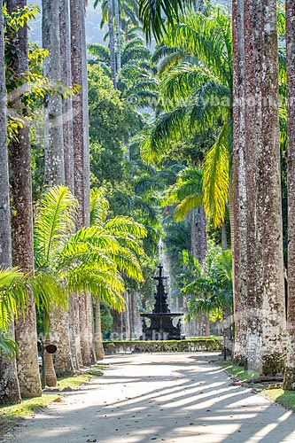  View of Palm tree Alameda - Botanical Garden of Rio de Janeiro with the Fountain of the Muses in the background  - Rio de Janeiro city - Rio de Janeiro state (RJ) - Brazil
