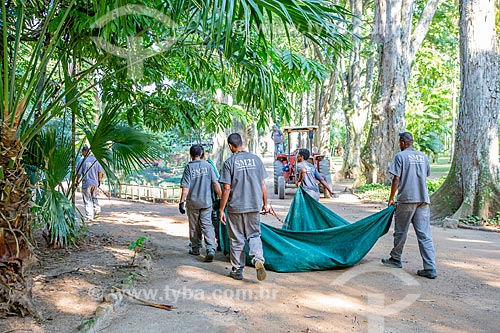  Labourers of the Botanical Garden of Rio de Janeiro carrying dry leaves  - Rio de Janeiro city - Rio de Janeiro state (RJ) - Brazil