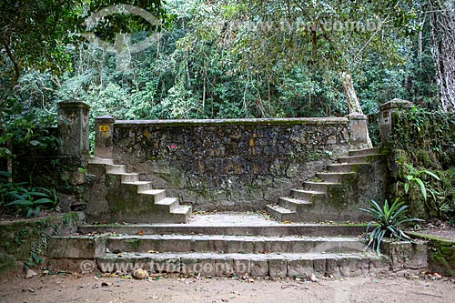  Detail of ruins of stair of old coffee farm on trail - Tijuca National Park  - Rio de Janeiro city - Rio de Janeiro state (RJ) - Brazil