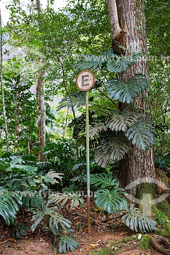  View of Transit signals indicating parking allowed amid the typical vegetation of Atlantic Rainforest - Tijuca National Park  - Rio de Janeiro city - Rio de Janeiro state (RJ) - Brazil